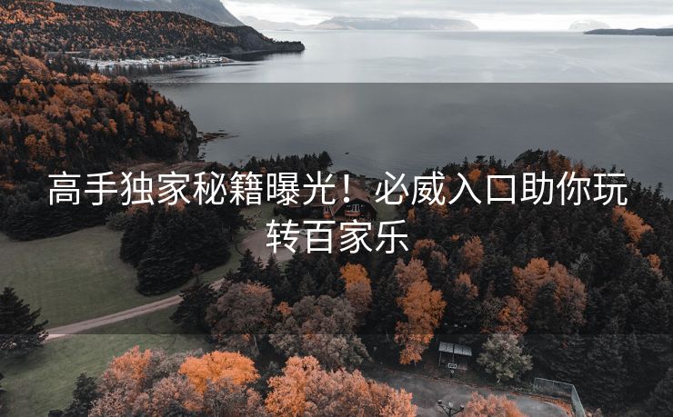 高手独家秘籍曝光！必威入口助你玩转百家乐