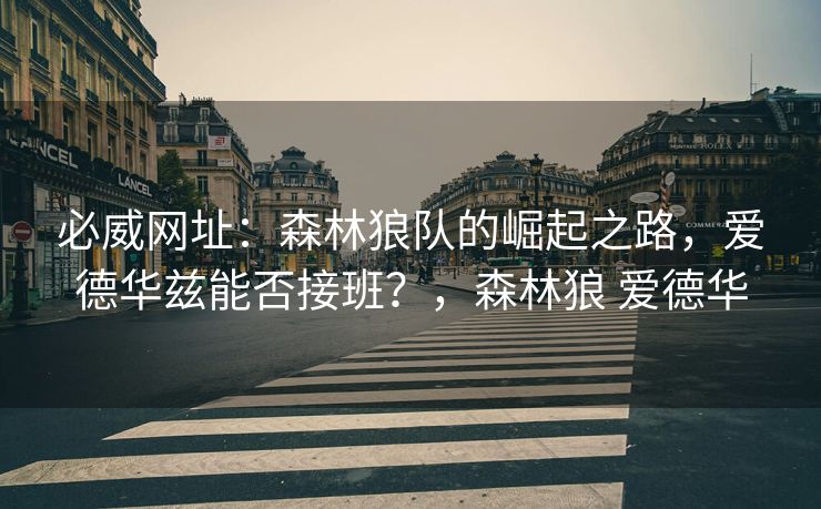必威网址：森林狼队的崛起之路，爱德华兹能否接班？，森林狼 爱德华  第2张