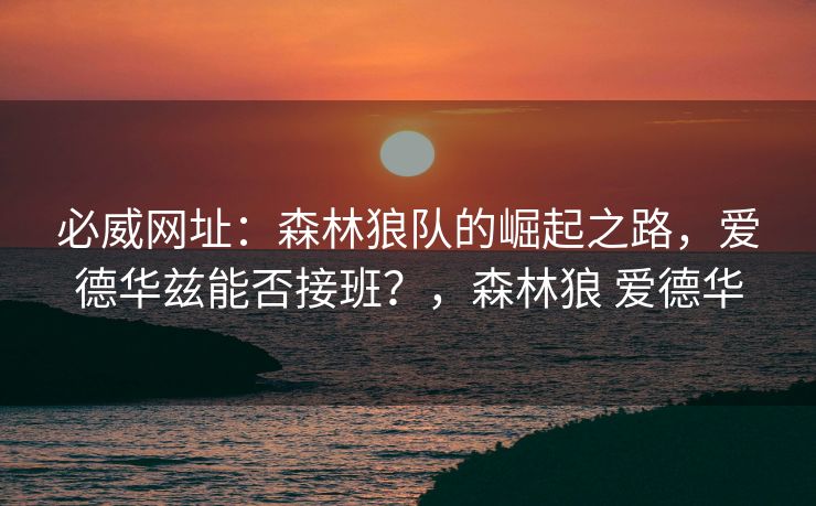 必威网址：森林狼队的崛起之路，爱德华兹能否接班？，森林狼 爱德华  第1张