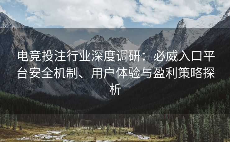 电竞投注行业深度调研：必威入口平台安全机制、用户体验与盈利策略探析
