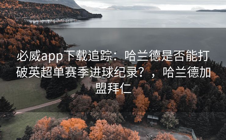 必威app下载追踪：哈兰德是否能打破英超单赛季进球纪录？，哈兰德加盟拜仁  第2张