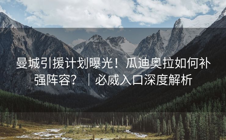 曼城引援计划曝光！瓜迪奥拉如何补强阵容？｜必威入口深度解析  第1张