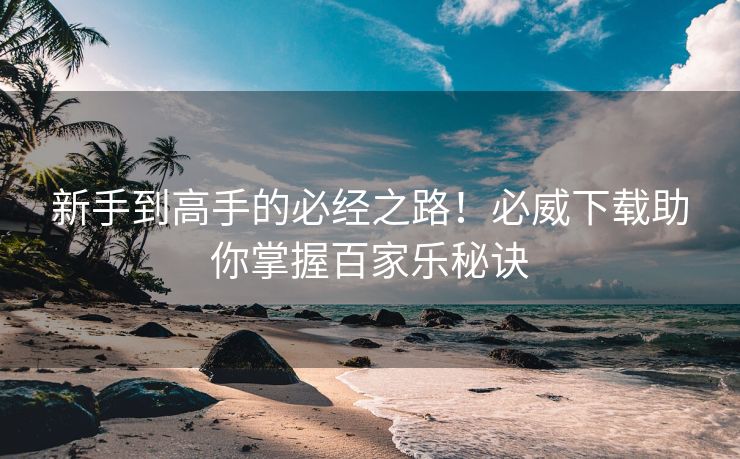 新手到高手的必经之路！必威下载助你掌握百家乐秘诀