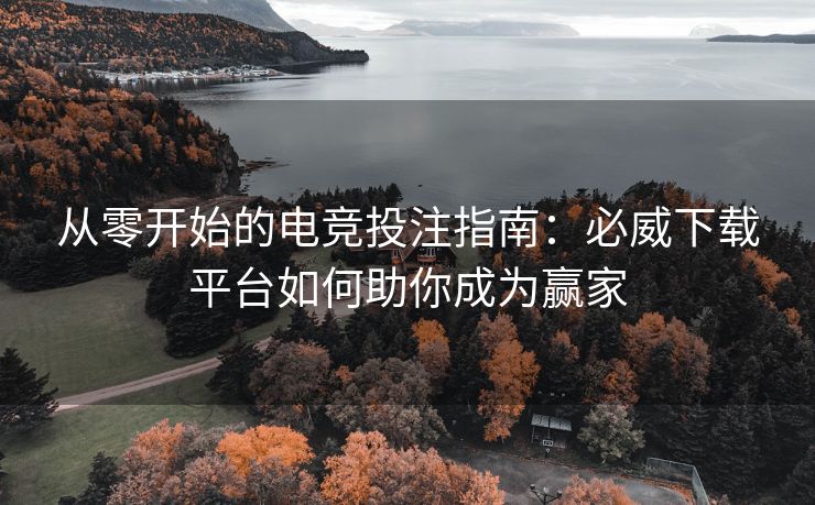 从零开始的电竞投注指南：必威下载平台如何助你成为赢家