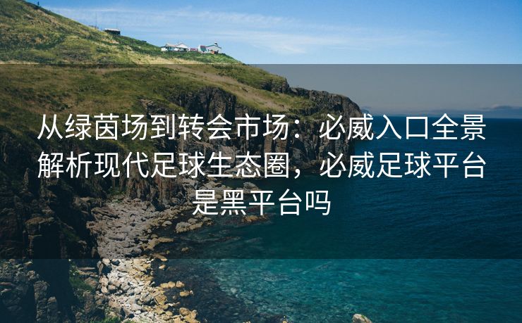 从绿茵场到转会市场：必威入口全景解析现代足球生态圈，必威足球平台是黑平台吗