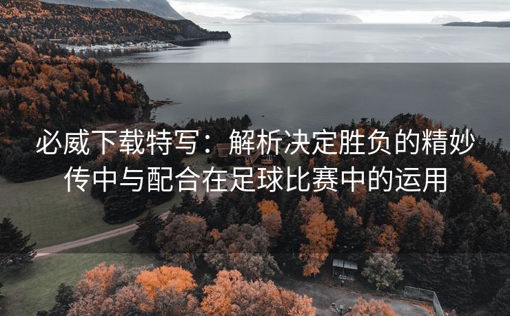 必威下载特写：解析决定胜负的精妙传中与配合在足球比赛中的运用  第2张