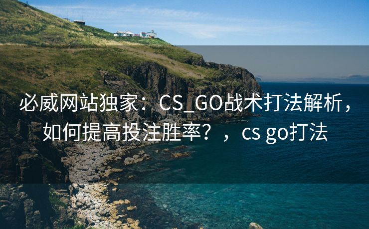 必威网站独家：CS_GO战术打法解析，如何提高投注胜率？，cs go打法  第1张