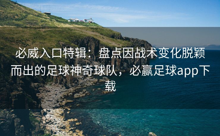 必威入口特辑：盘点因战术变化脱颖而出的足球神奇球队，必赢足球app下载  第2张