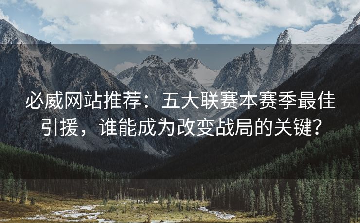 必威网站推荐：五大联赛本赛季最佳引援，谁能成为改变战局的关键？  第2张