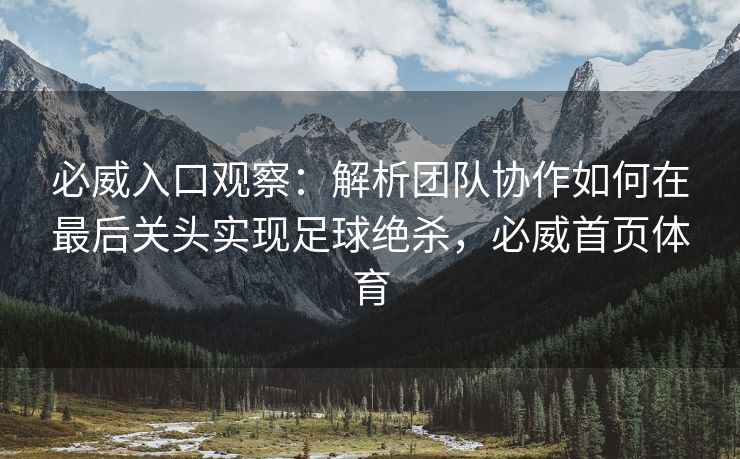 必威入口观察：解析团队协作如何在最后关头实现足球绝杀，必威首页体育