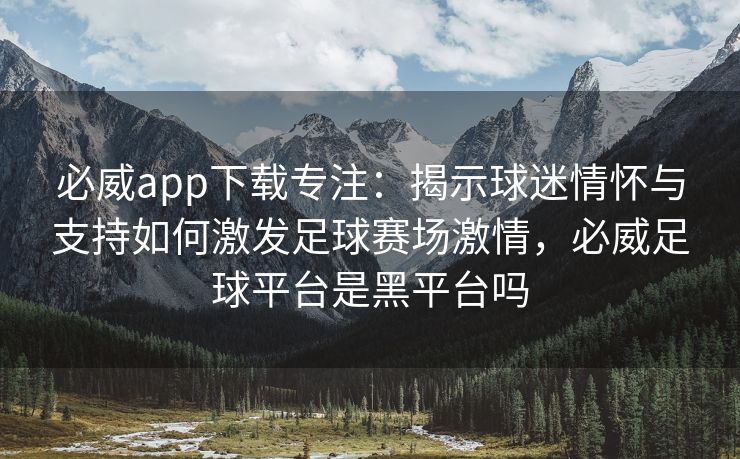 必威app下载专注：揭示球迷情怀与支持如何激发足球赛场激情，必威足球平台是黑平台吗  第2张