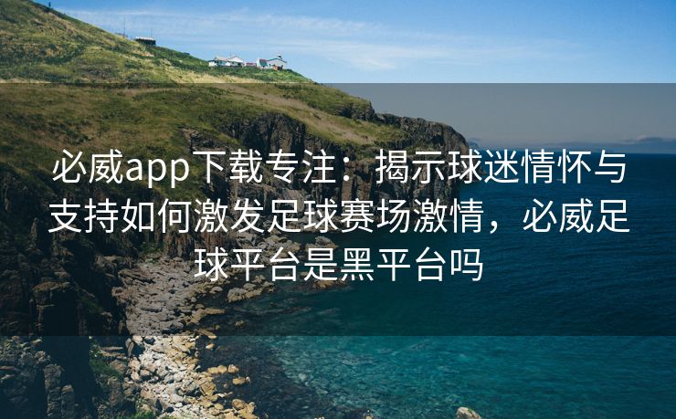 必威app下载专注：揭示球迷情怀与支持如何激发足球赛场激情，必威足球平台是黑平台吗